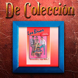 Recuerdo Y Algo Más (De Colección)