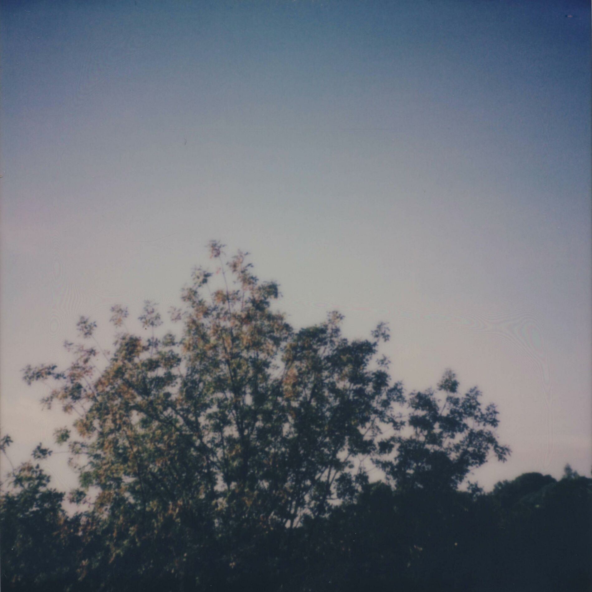 Album cover of where i go you cannot follow