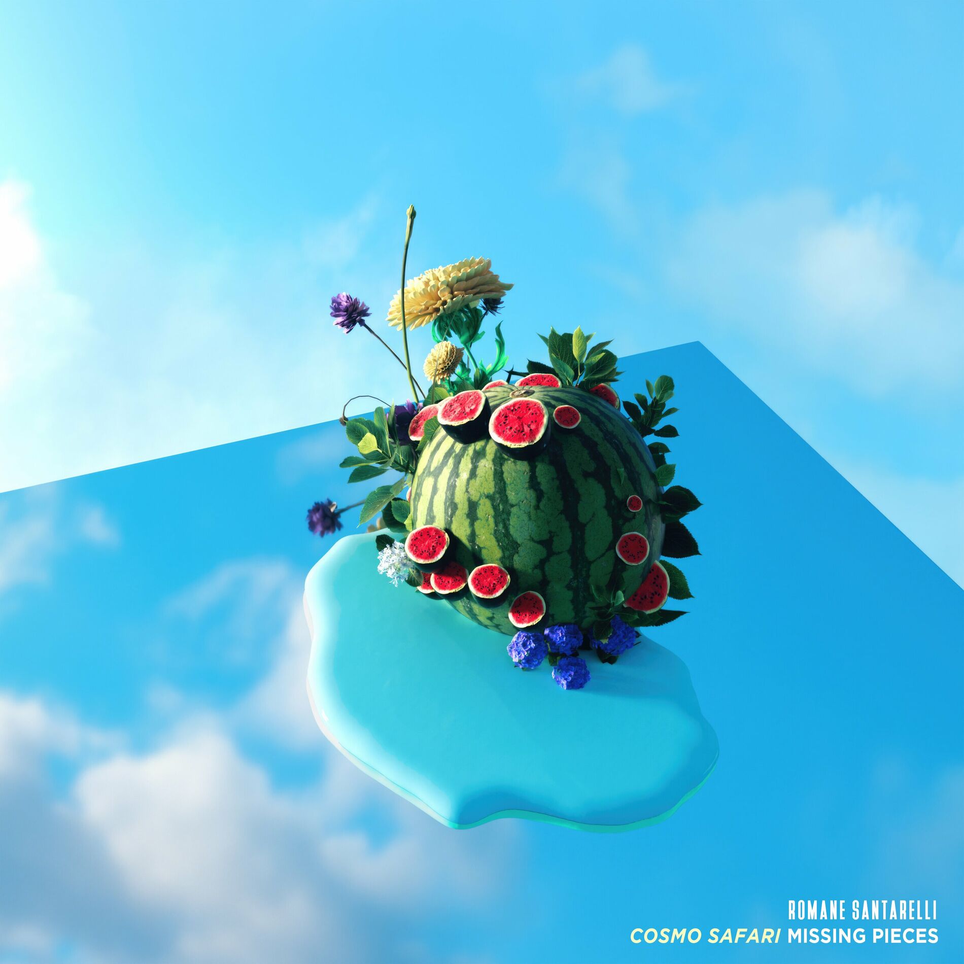 Album cover of What Do You Look Like ?