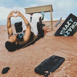 Cover of Crazy Crazy