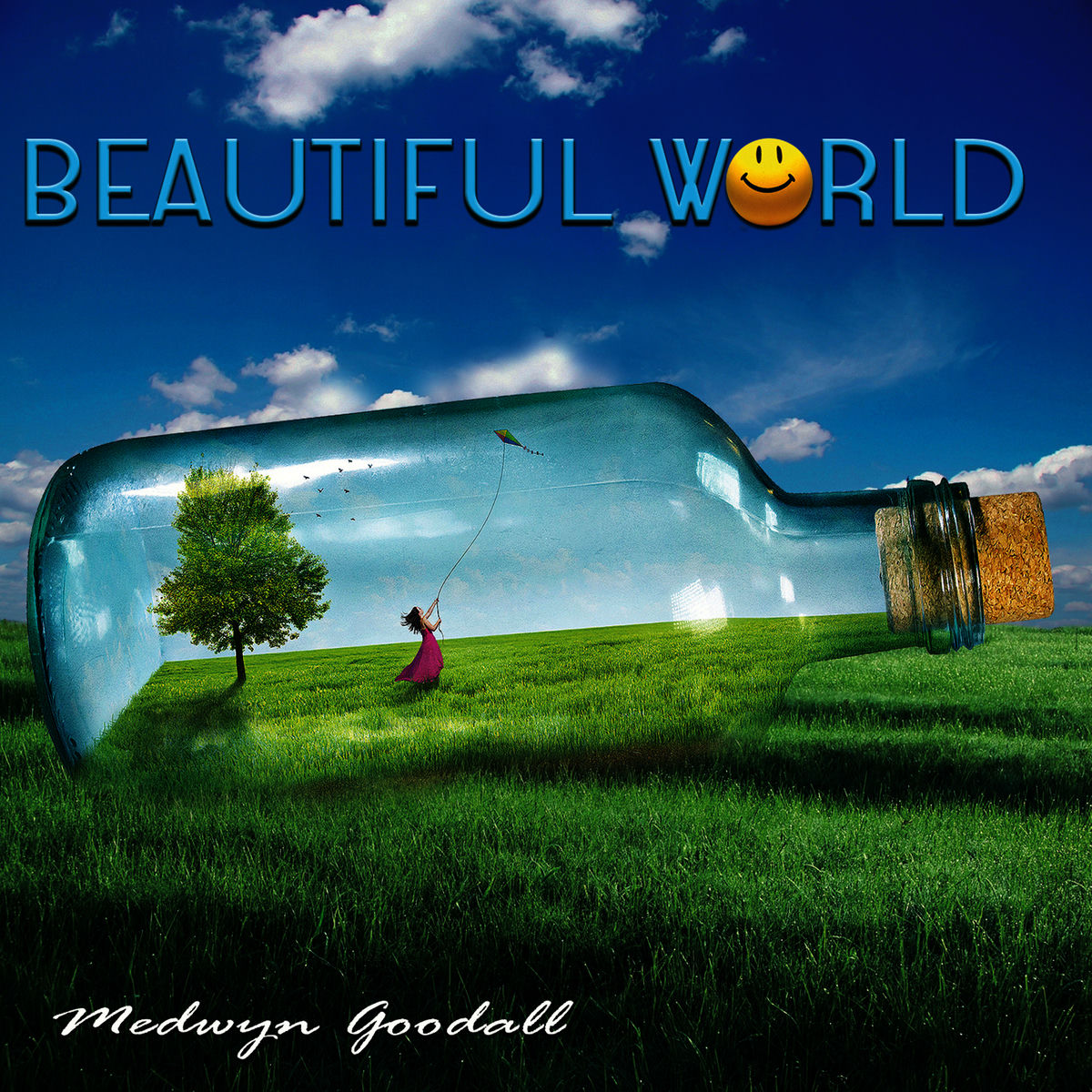 Album cover of Beautiful World