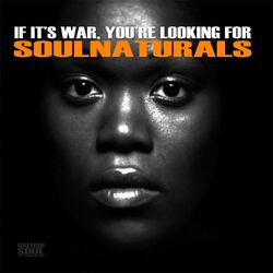 Cover of If It's War, You're Looking For