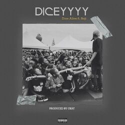 Cover of Dicey