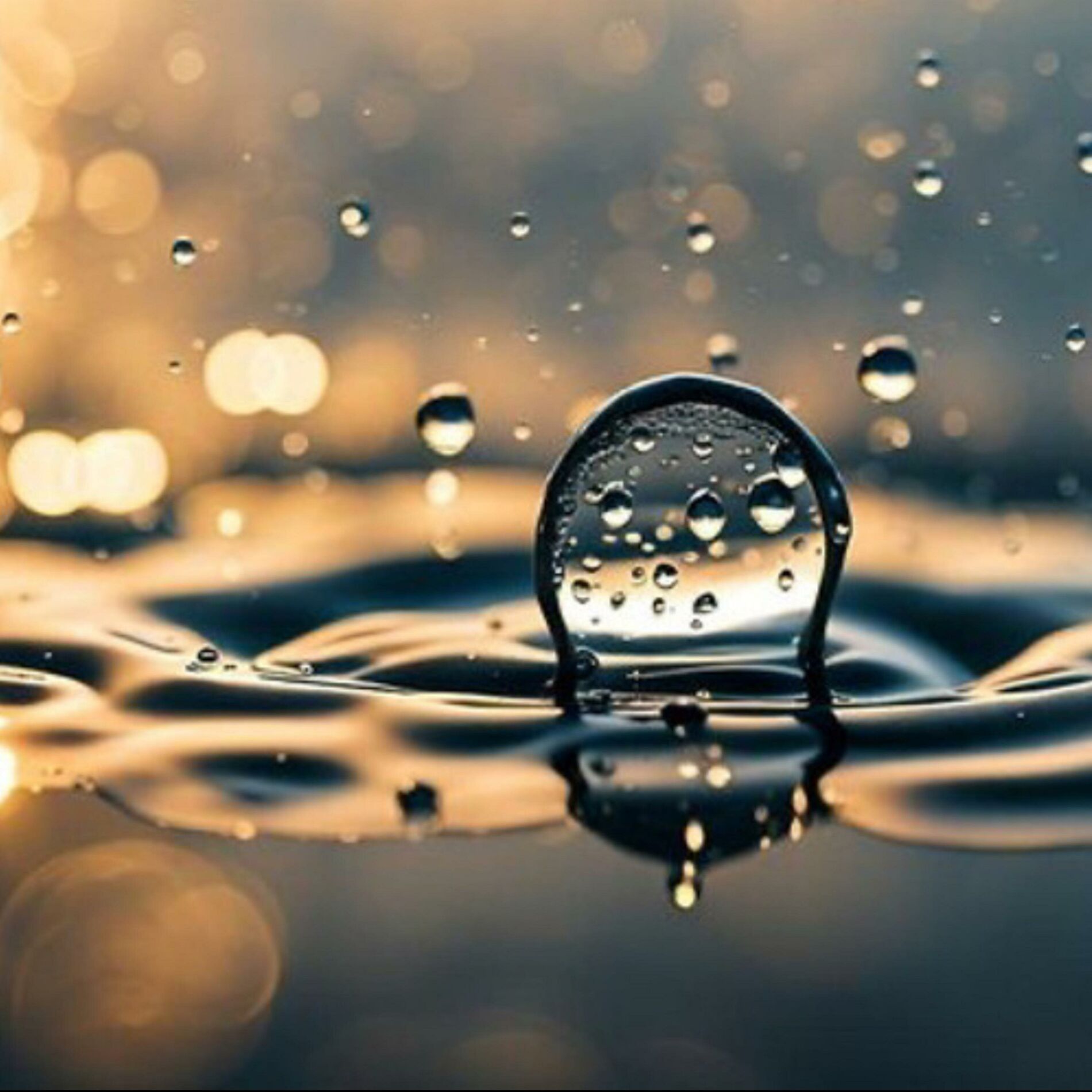 Album cover of Wetter