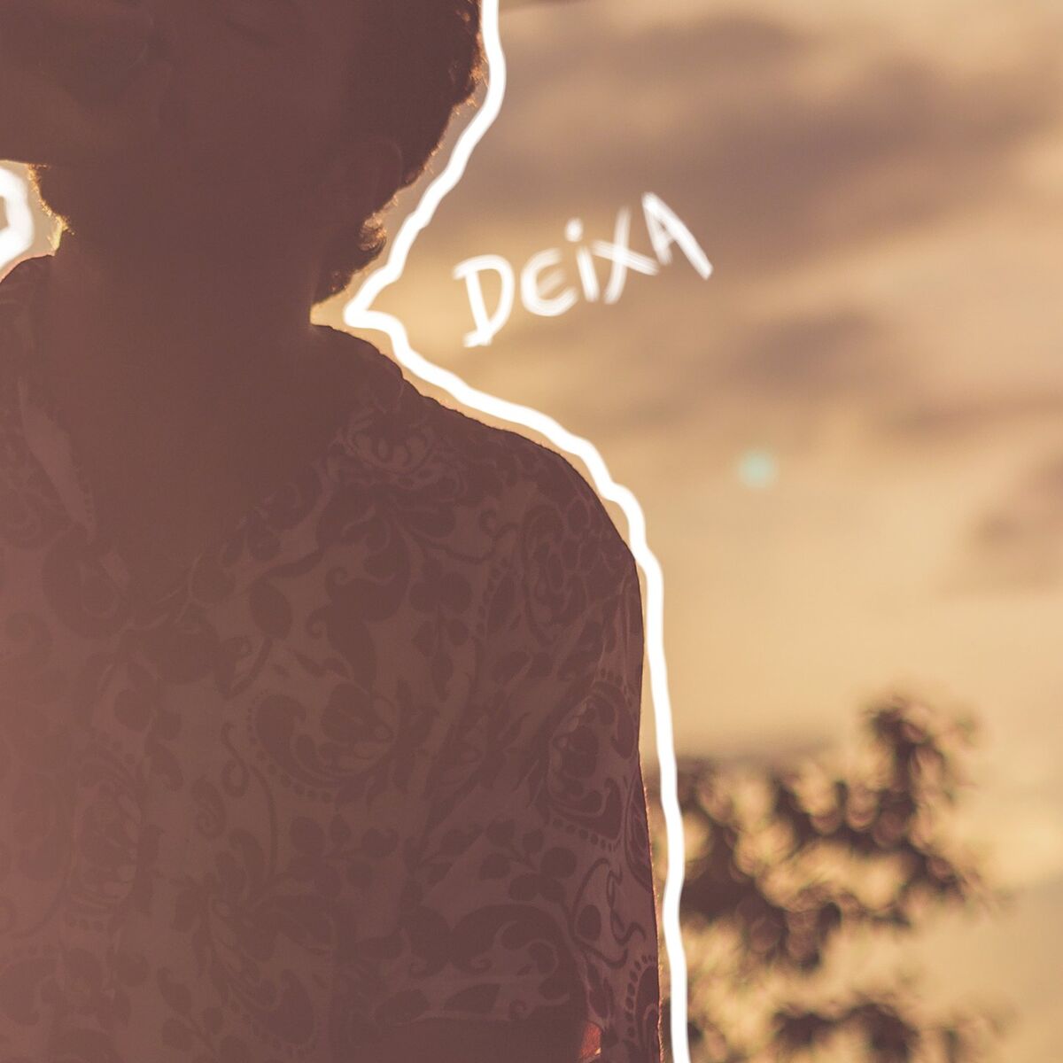 Album cover of Deixa