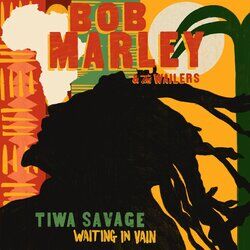 Cover of Waiting In Vain