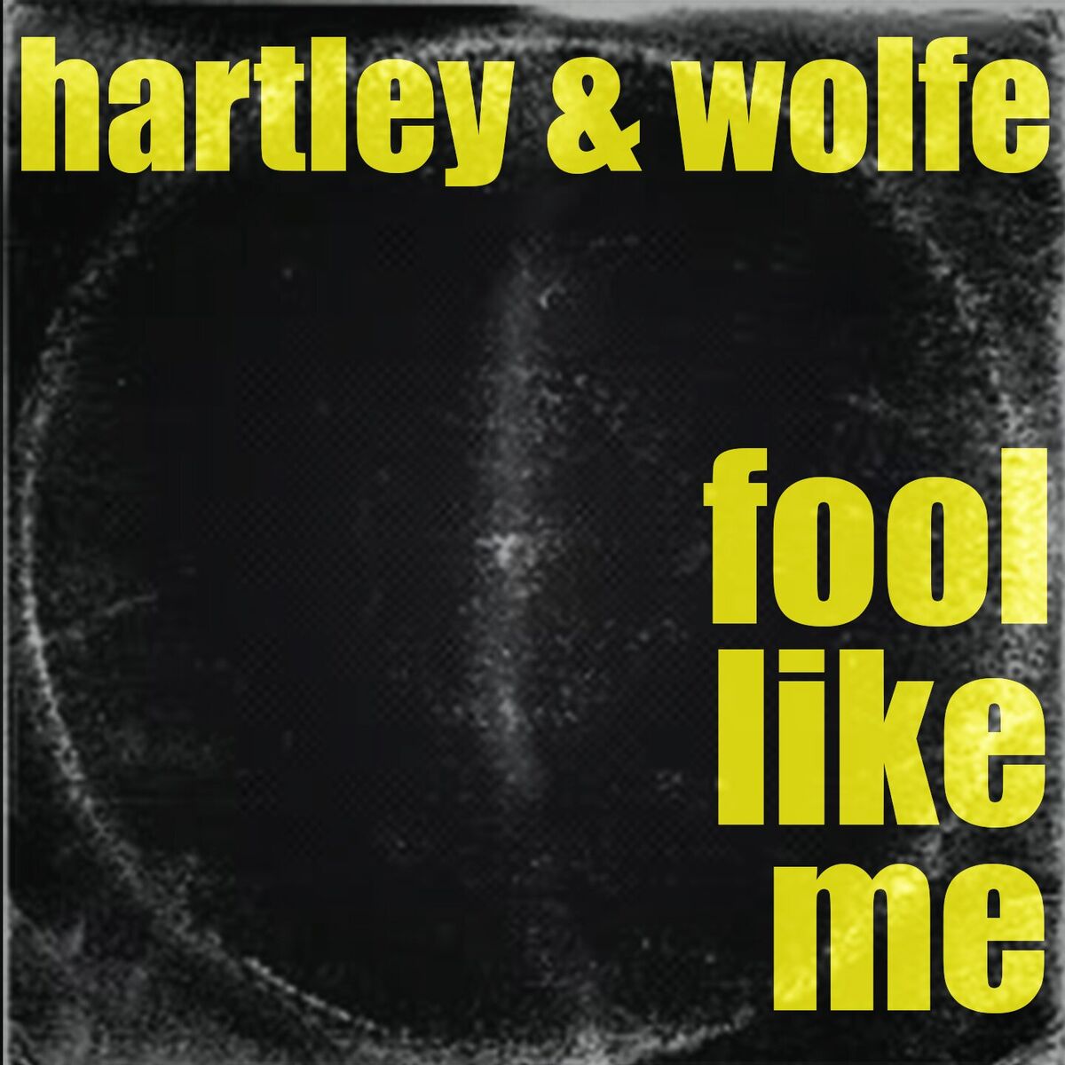 Album cover of Fool Like Me