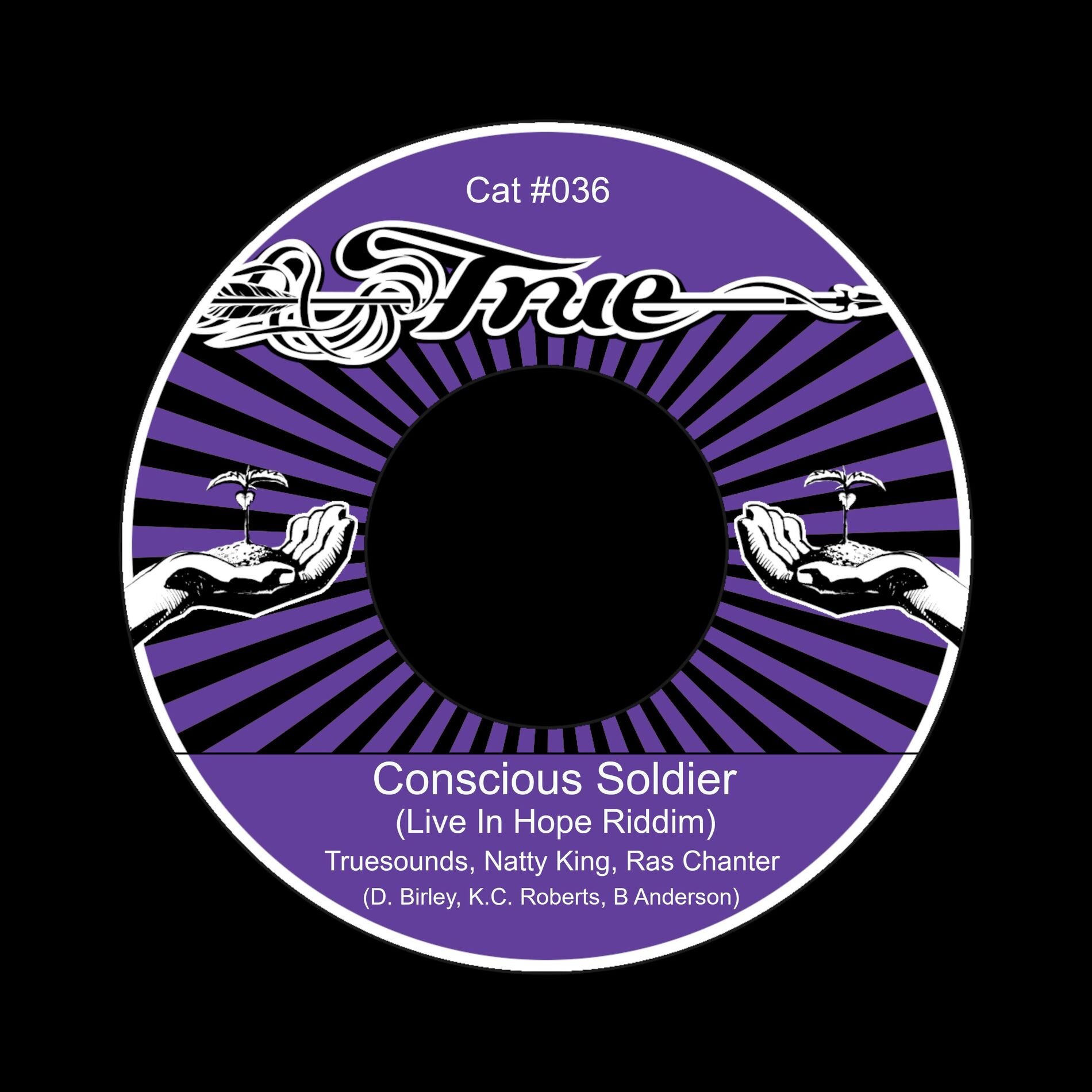 Album cover of Conscious Soldier (Live In Hope Riddim)