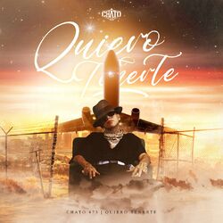 Cover of Quiero Tenerte