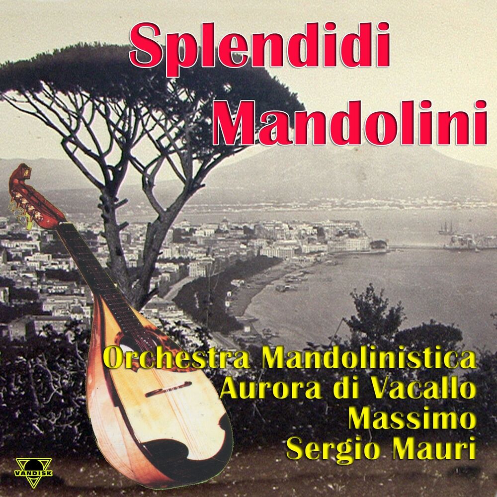Picture of Splendidi mandolini