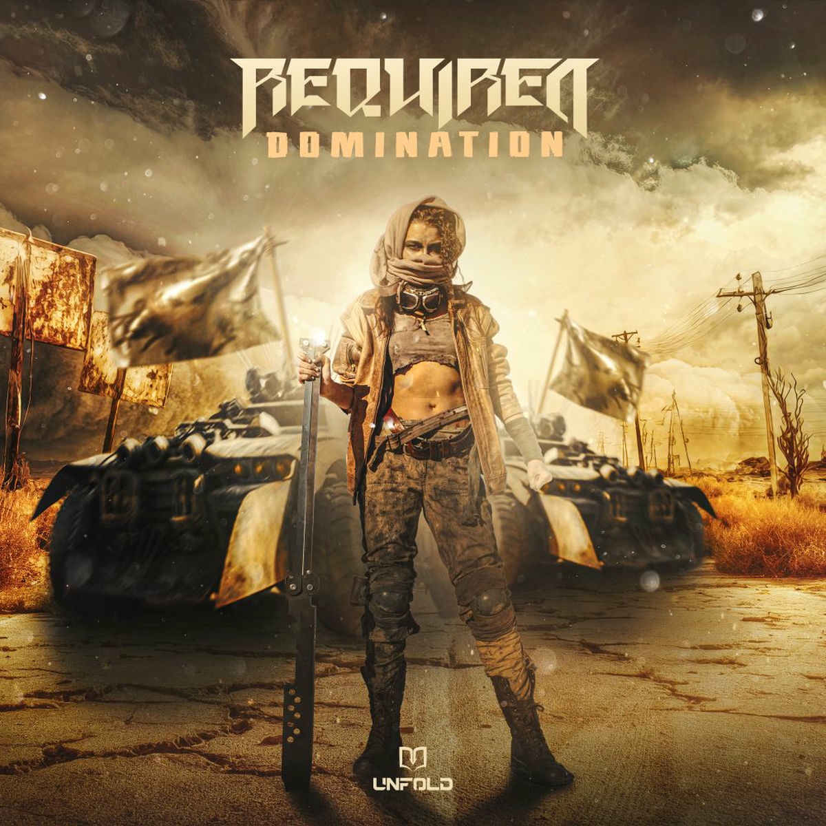 Album cover of Domination