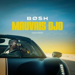 Cover of Mauvais djo