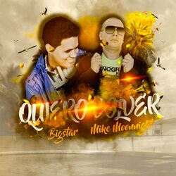 Cover of Quiero Volver