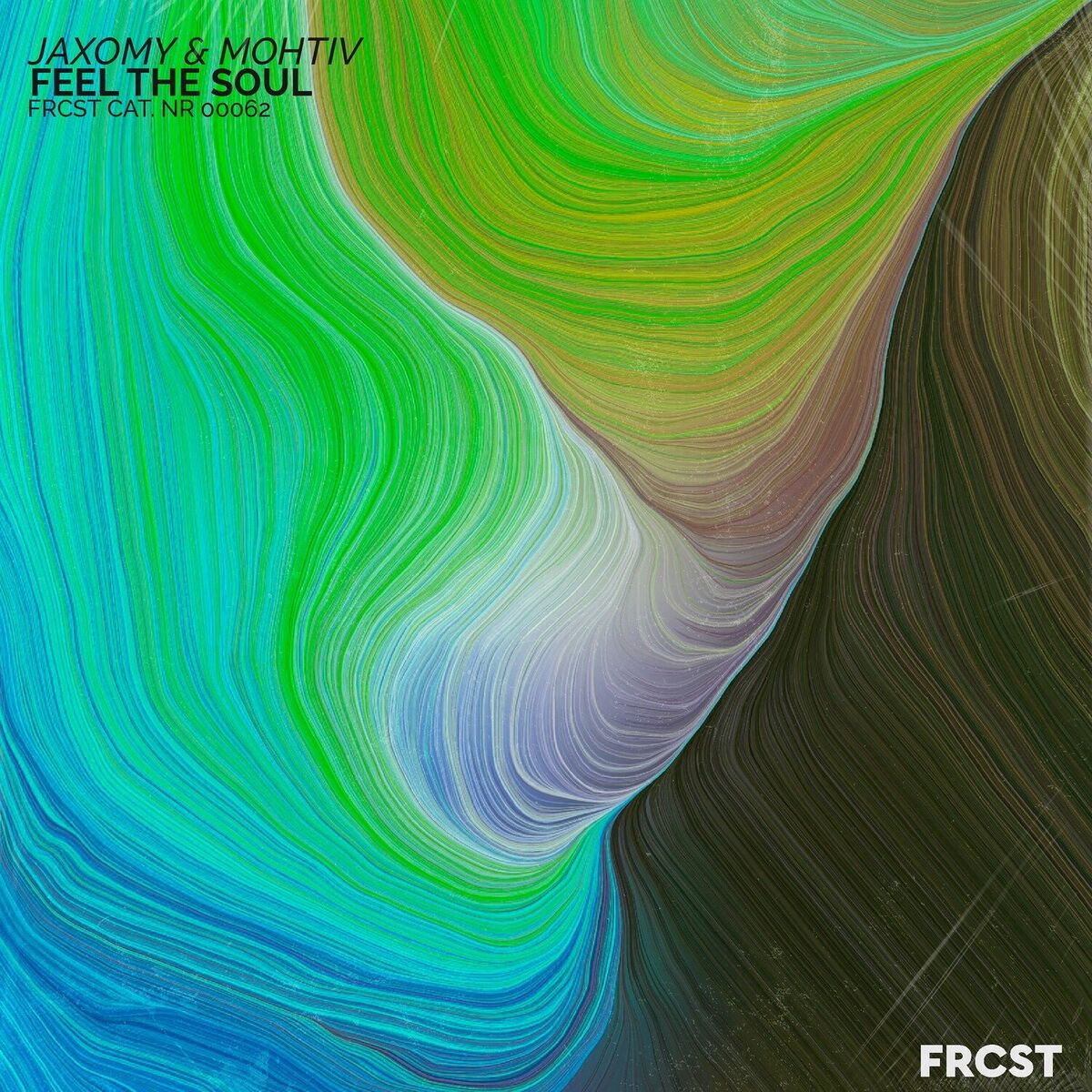 Album cover of Feel the Soul