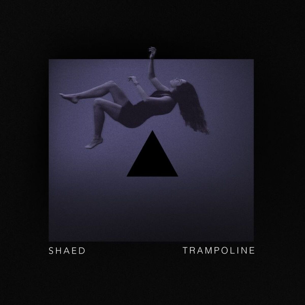 Album cover of Trampoline