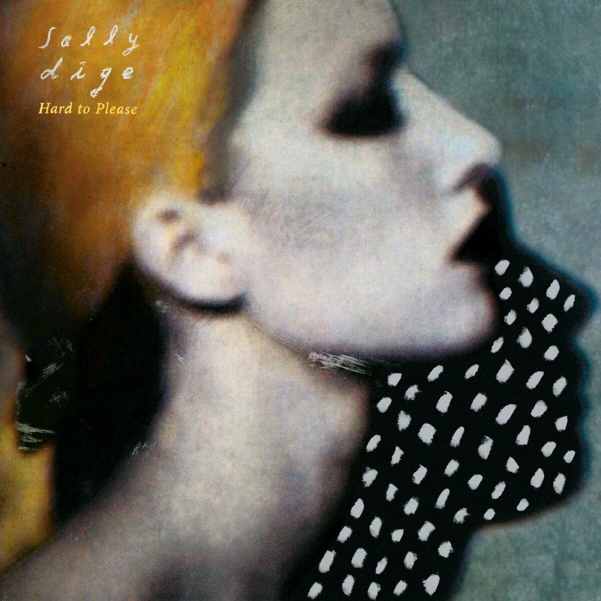 Album cover of Hard to Please