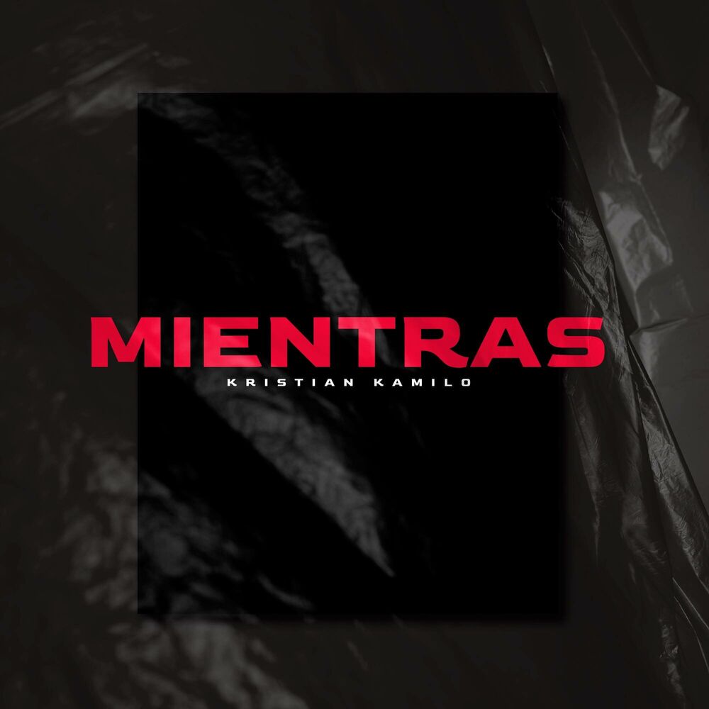 Picture of Mientras
