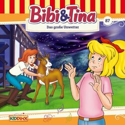 Cover of Folge 87: Das große Unwetter
