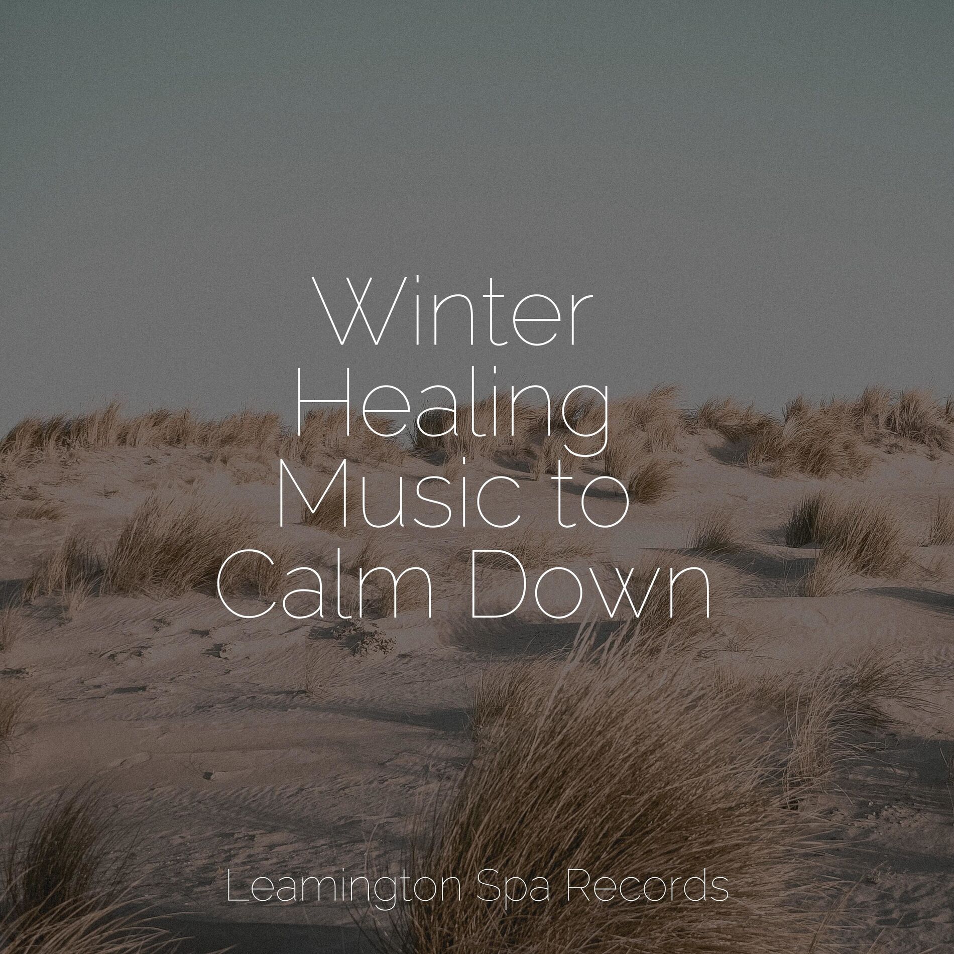 Album cover of Winter Healing Music to Calm Down