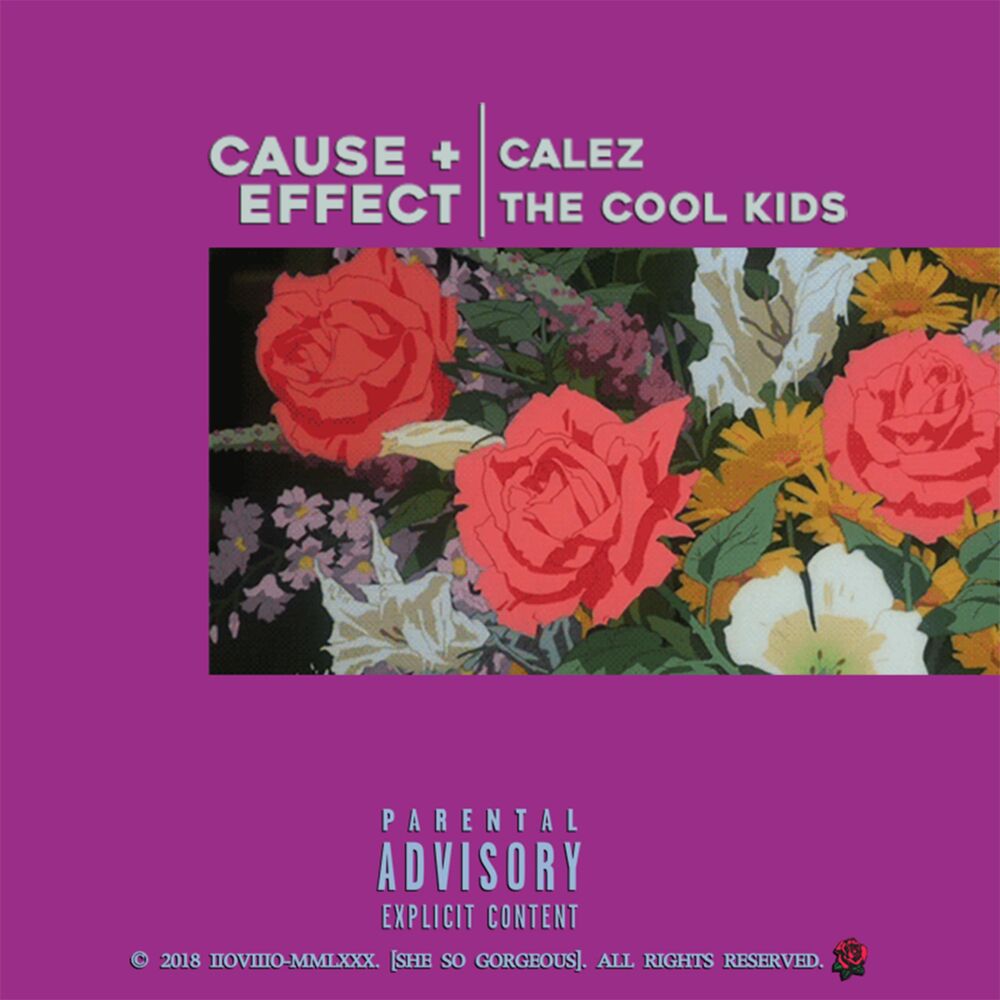 Picture of Cause + Effect