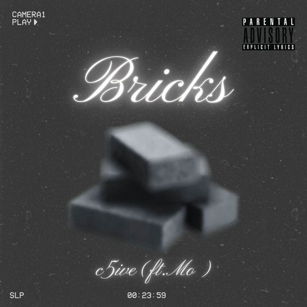 Picture of Bricks (feat. Mo)