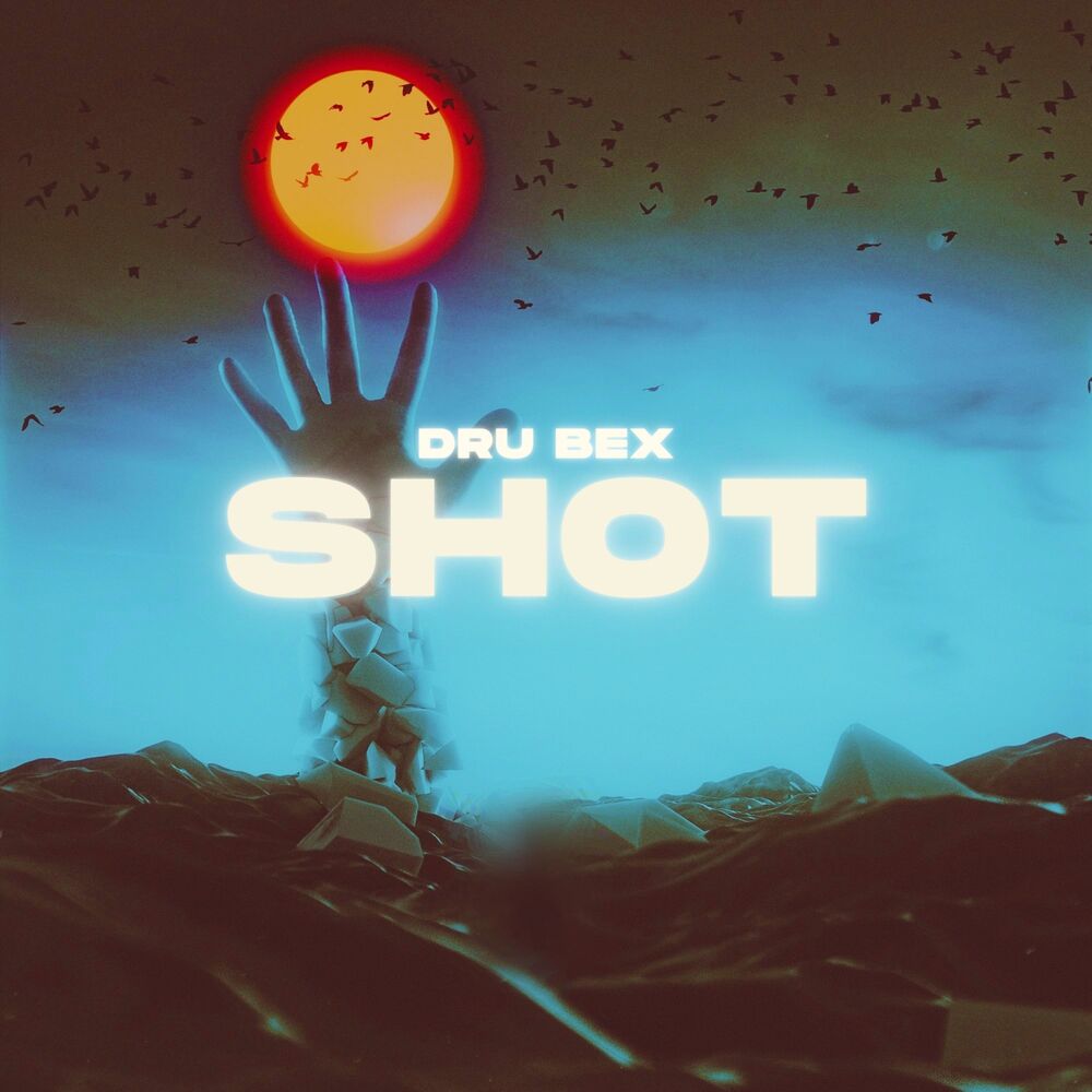 Picture of Shot