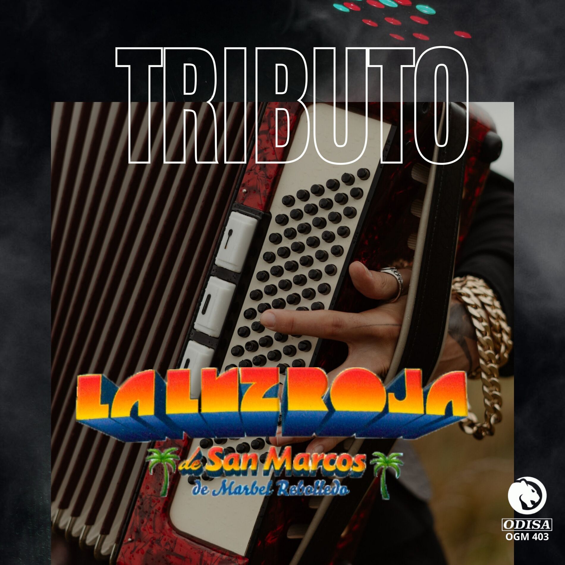 Album cover of Tributo