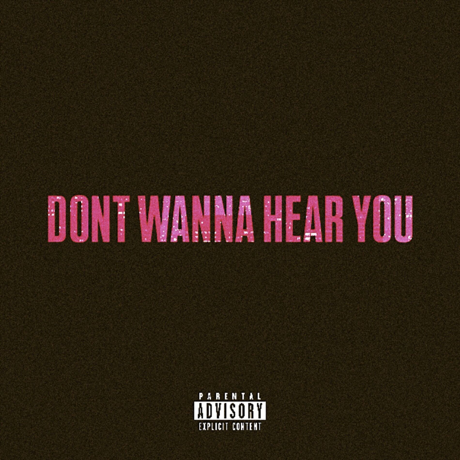 Album cover of DONT WANNA HEAR YOU