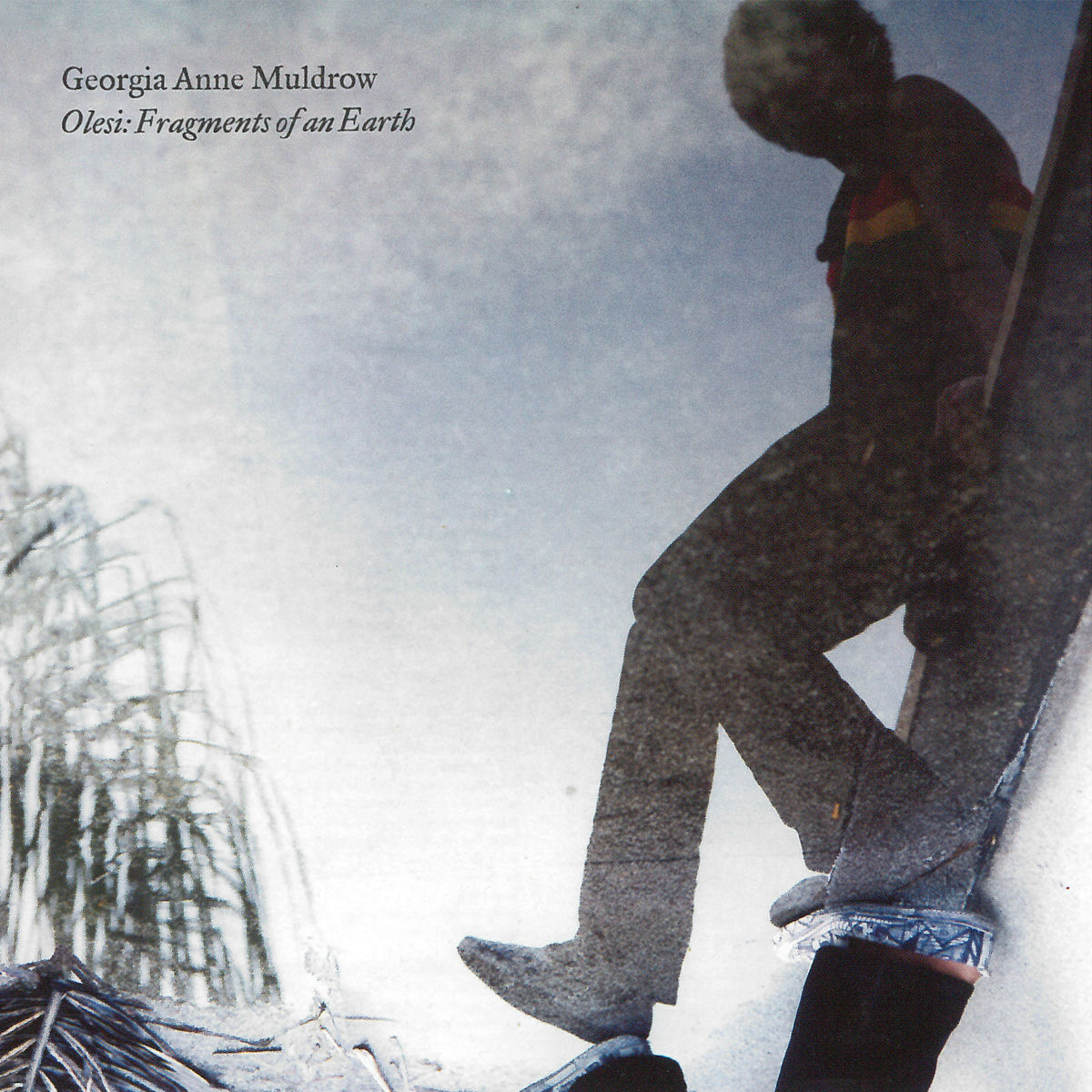 Album cover of Olesi: Fragments of an Earth