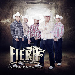 Cover of Incomparable