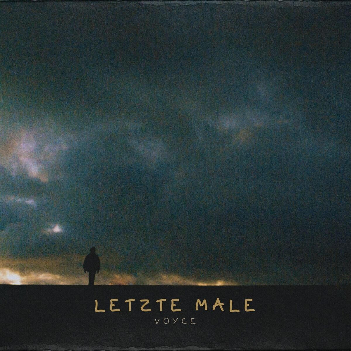 Album cover of Letzte Male