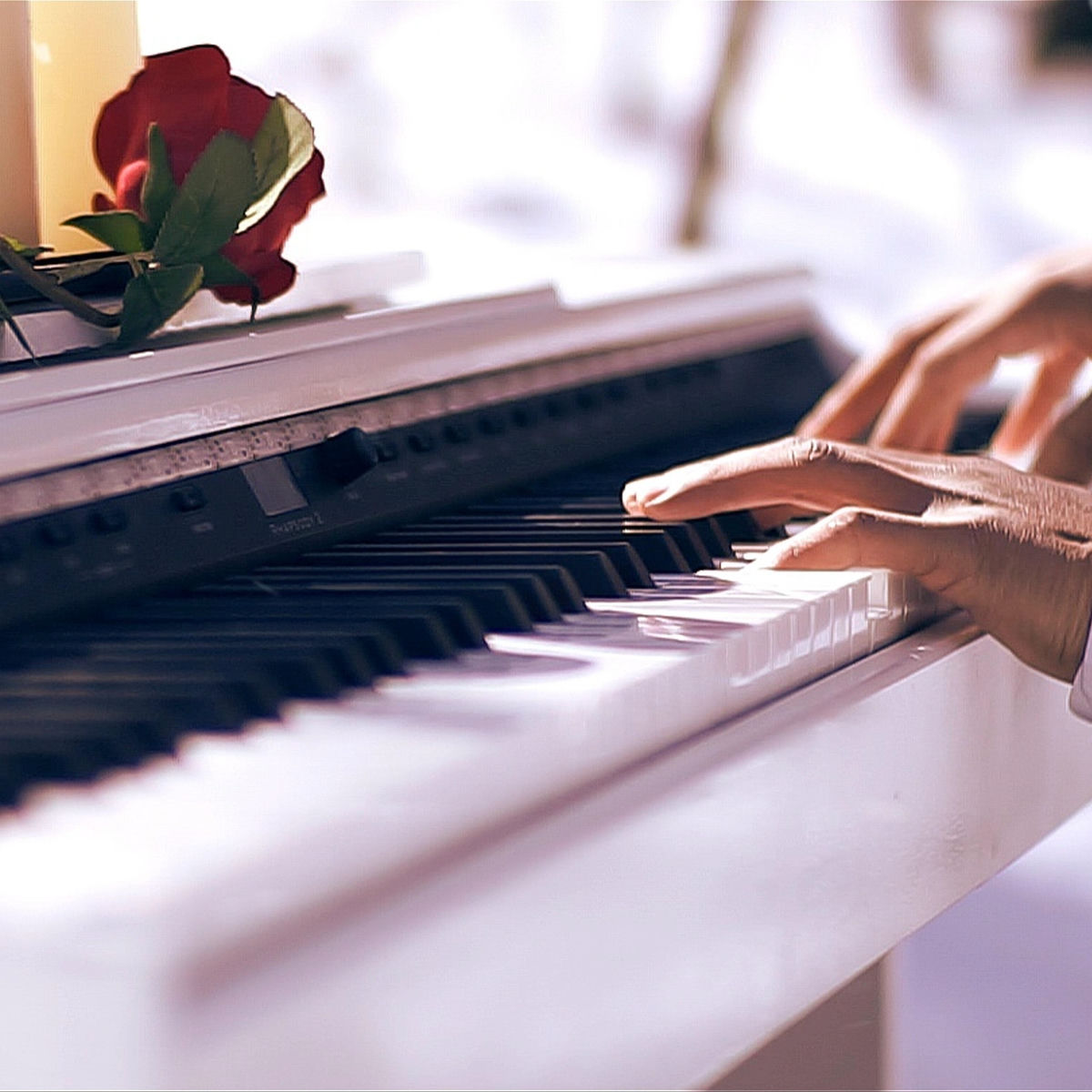 Album cover of Te Amo (La Cancion Mas Bonita Del Mundo)