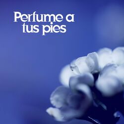 Cover of Perfume A Tus Pies