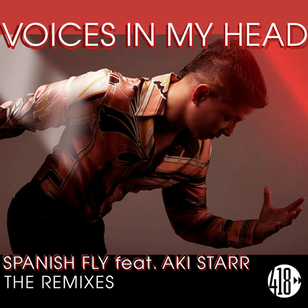 Album cover of Voices In My Head