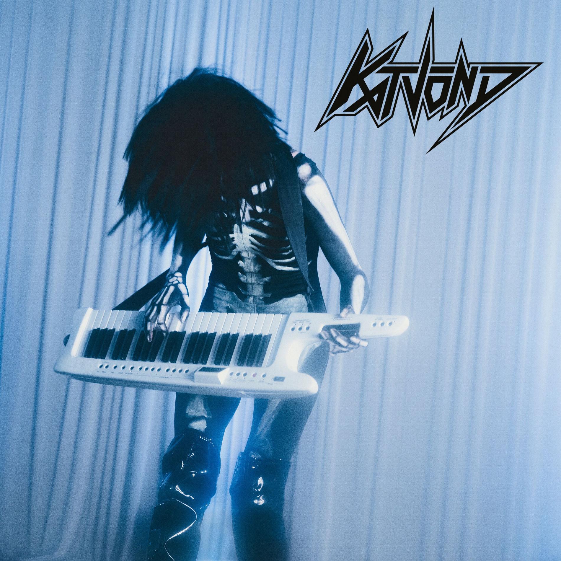 Album cover of Vampire Love