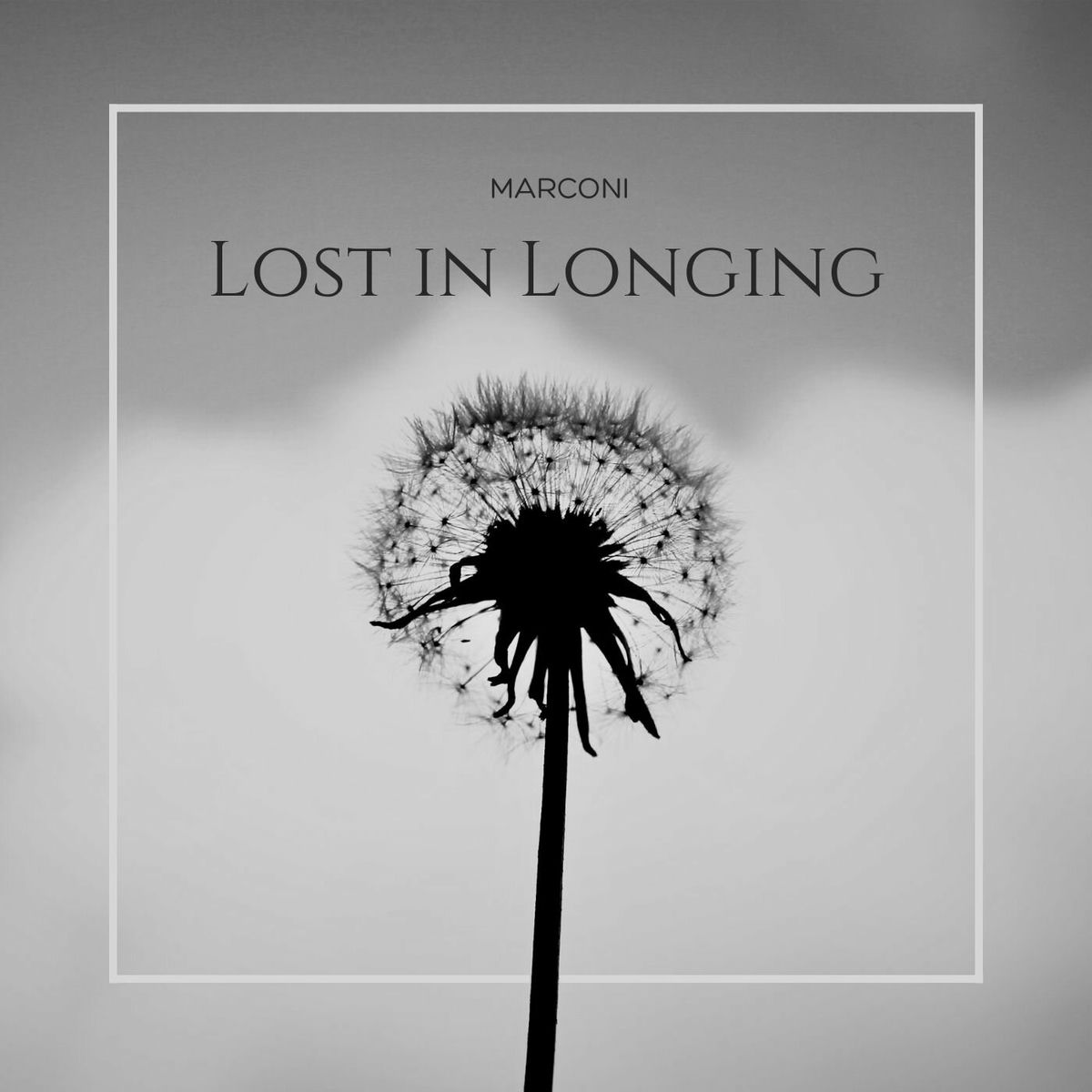 Album cover of Lost in Longing