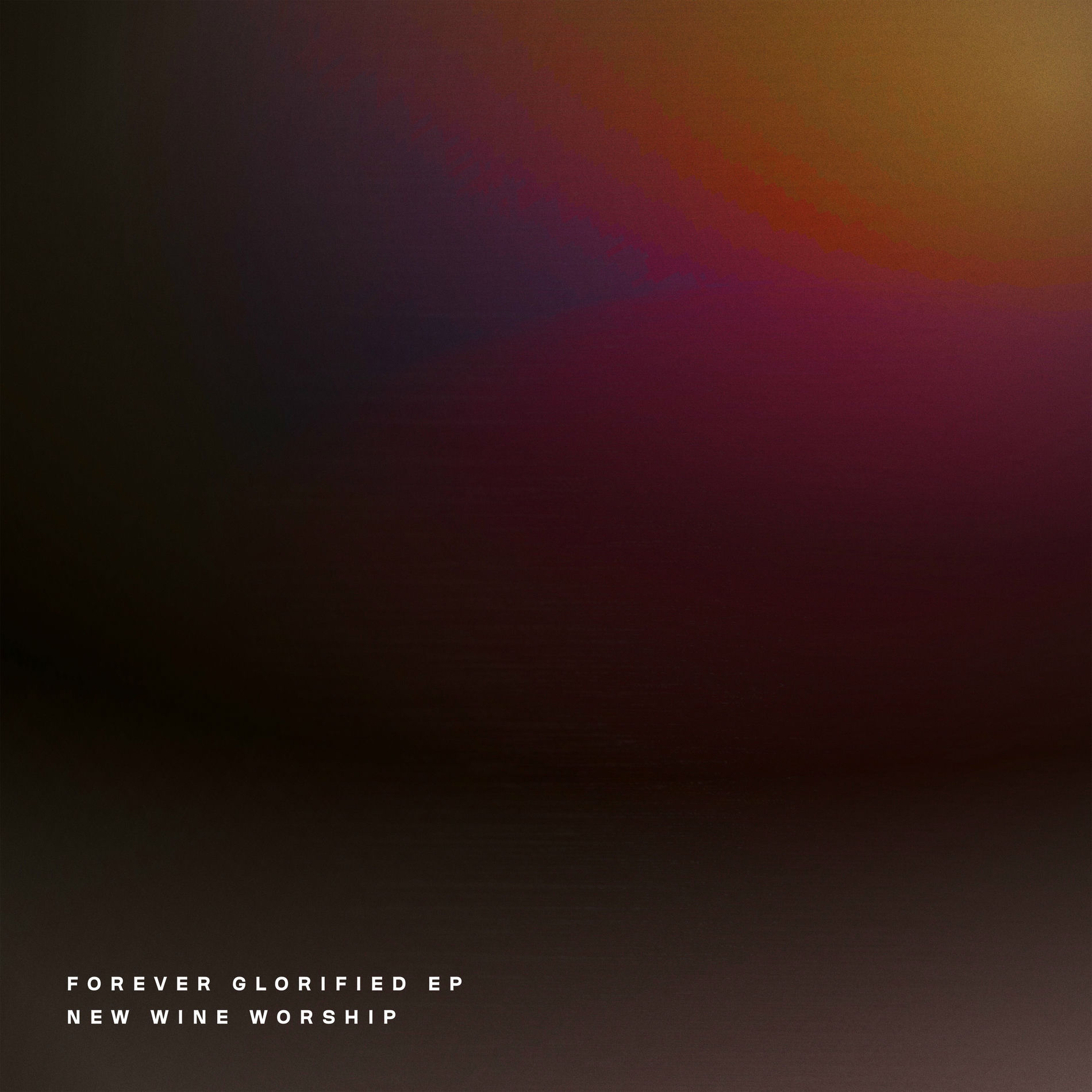 Album cover of Fully Loved