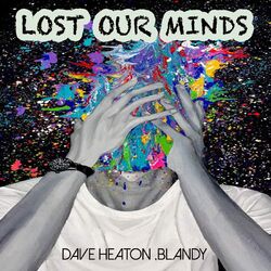 Cover of Lost Our Minds
