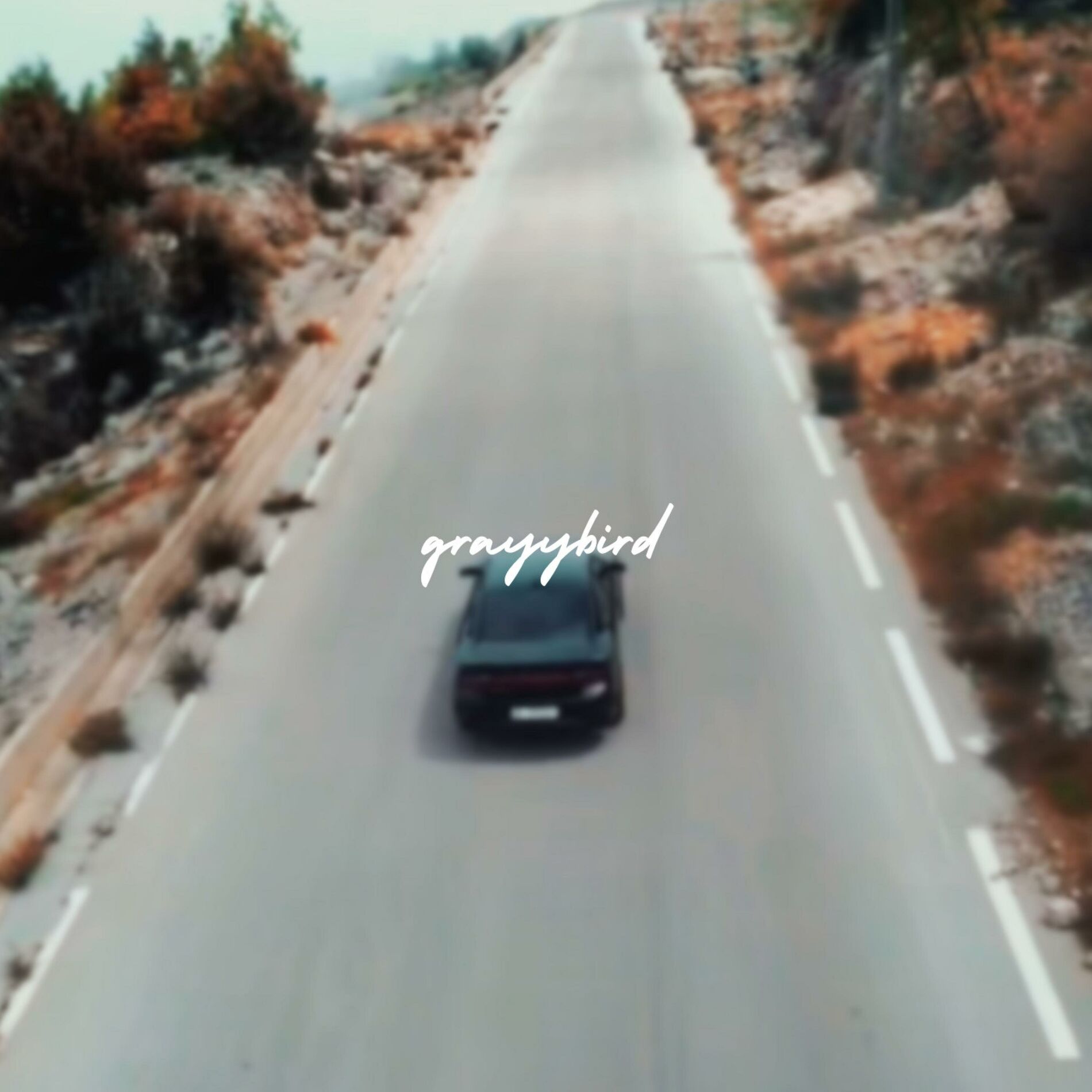 Album cover of Fast Car