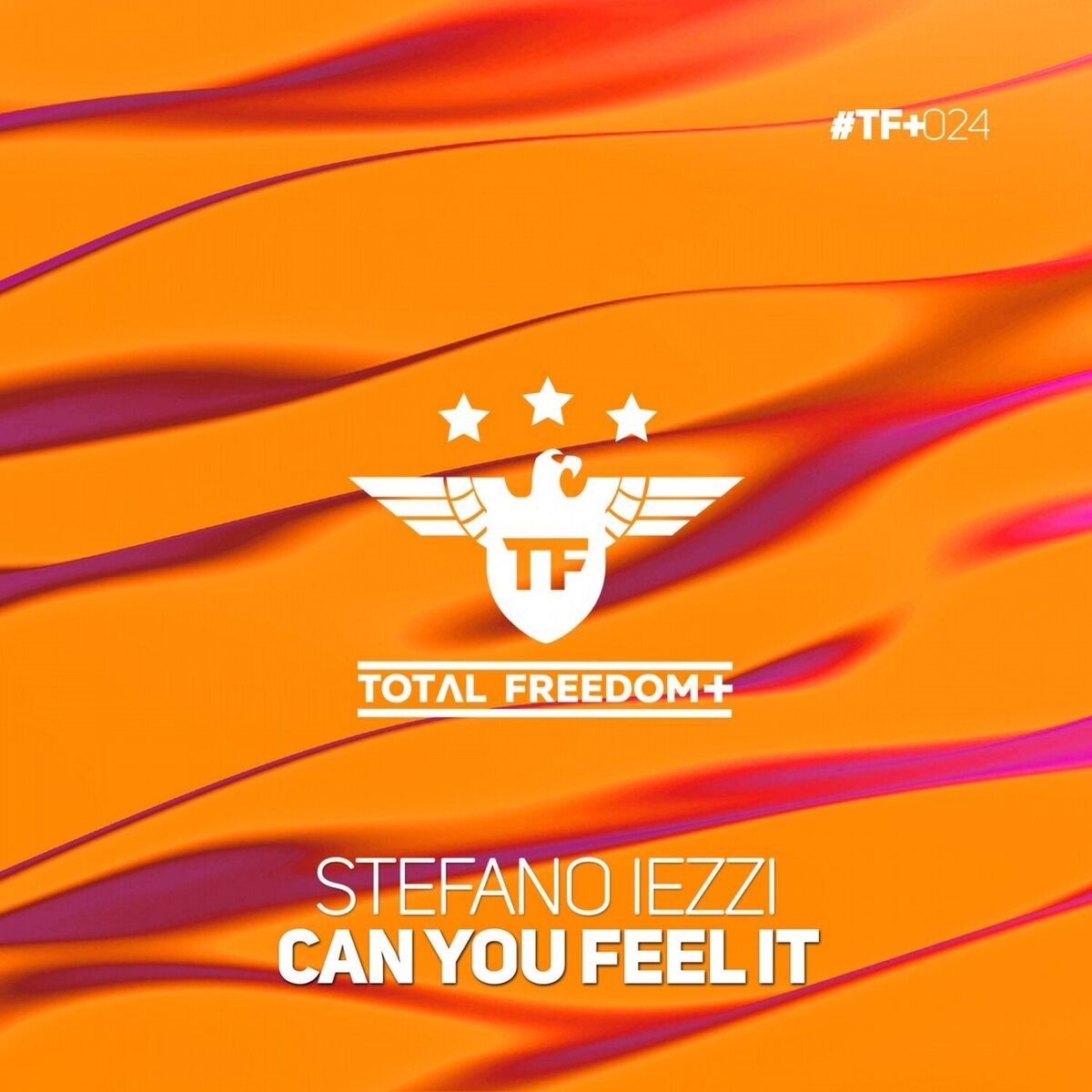 Album cover of Can You Feel It