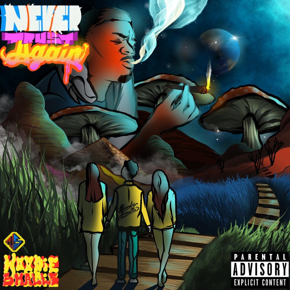 Picture of Never Trust Again