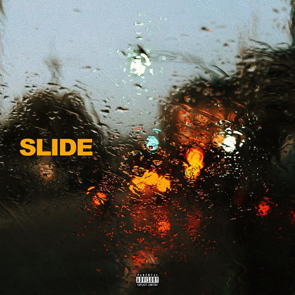 Picture of Slide