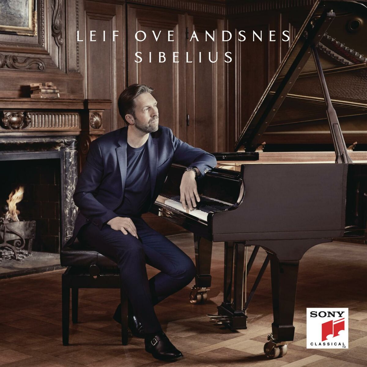 Album cover of 13 Pieces for Piano, Op. 76: Elegiaco, No. 10