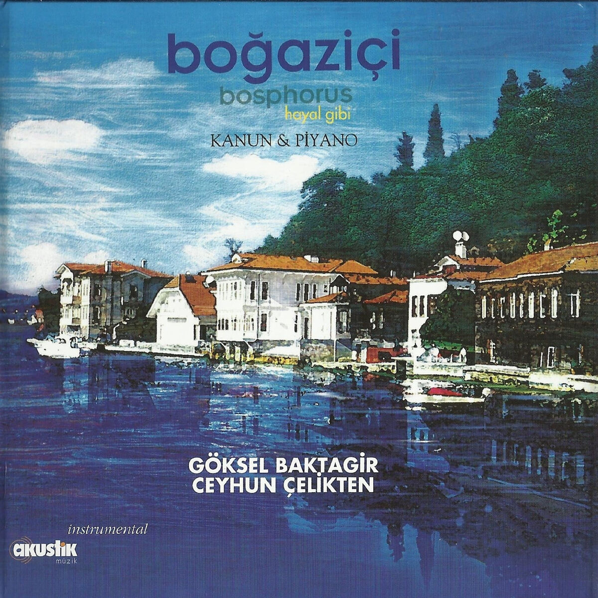 Album cover of Hayal Gibi