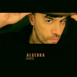 Cover of Algebra