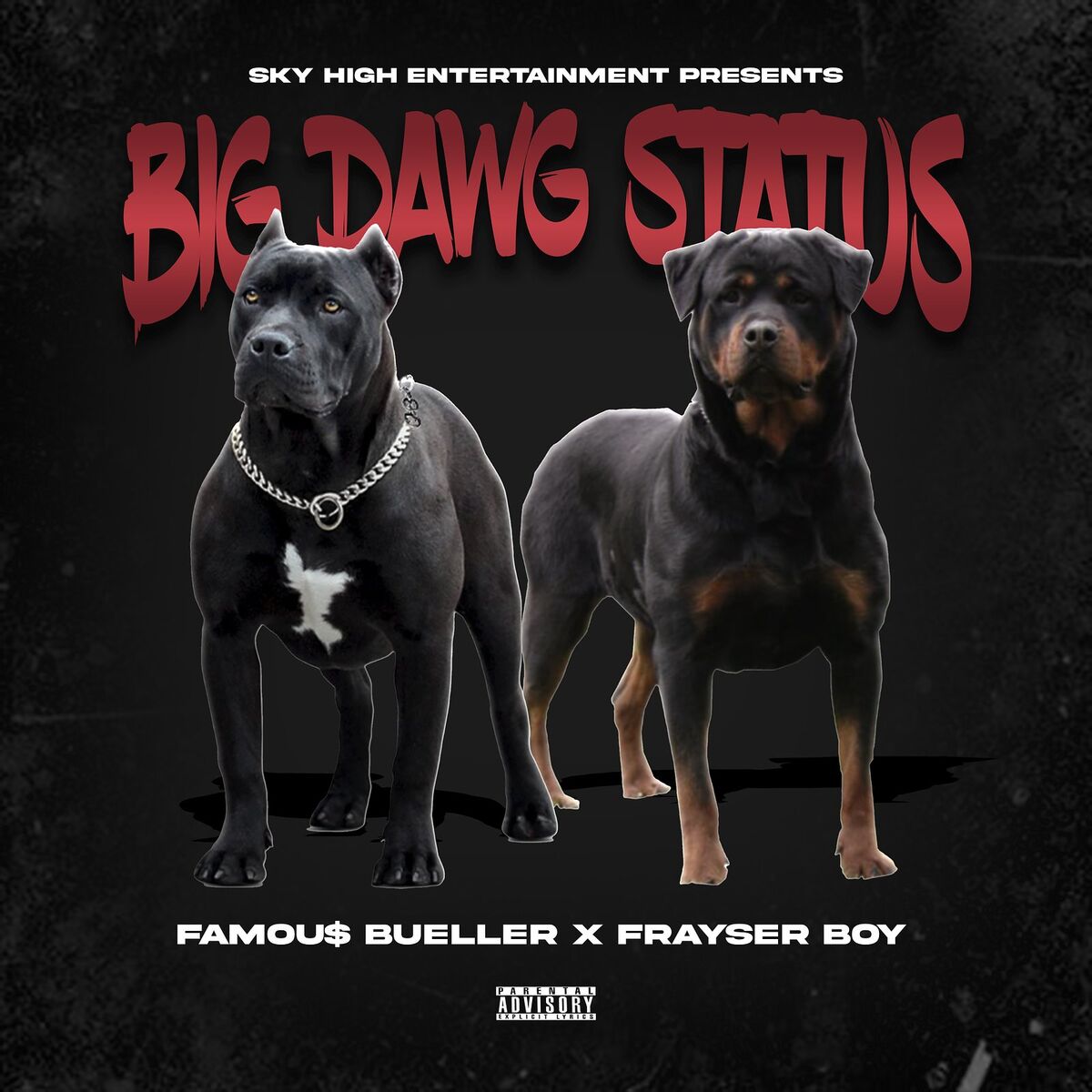 Album cover of Big Dawg Status