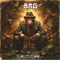 Cover of Bag