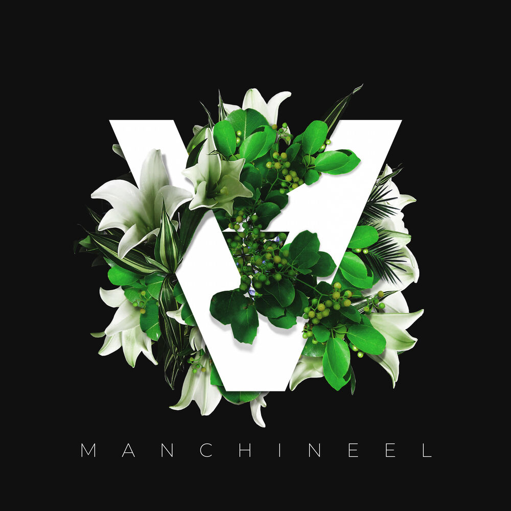 Picture of Manchineel