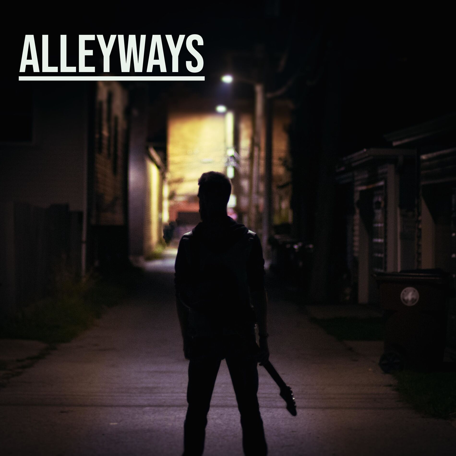 Album cover of Alleyways (feat. Rob Davies)
