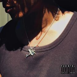 Cover of before celebrations